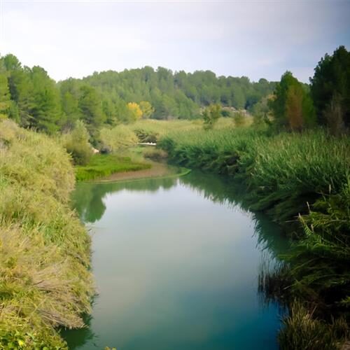 Cartell la Cova Negra. Redirecciona a otra página.
