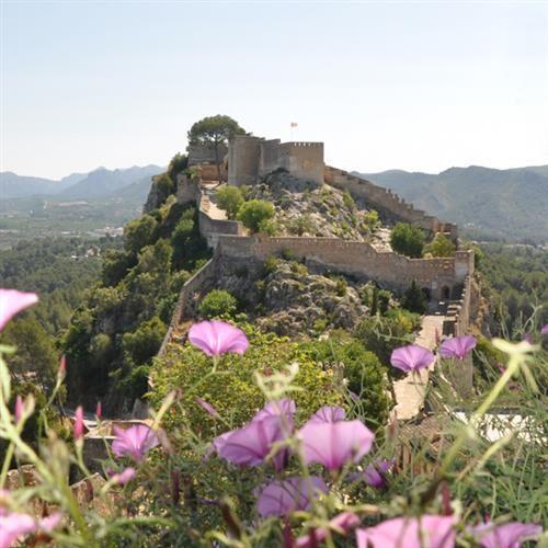 Cartell Castell Xàtiva