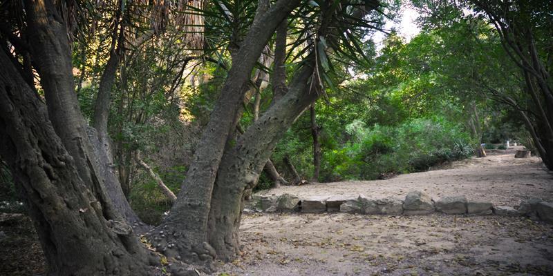 Foto Llosa de Ranes Aigua 02