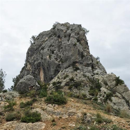 Cartell Caramull Novetle