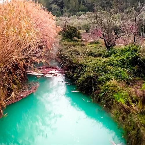 Cartell Paratge natural del riu Nou