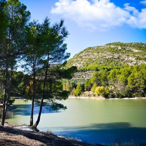 Foto el Bosquet de Moixent