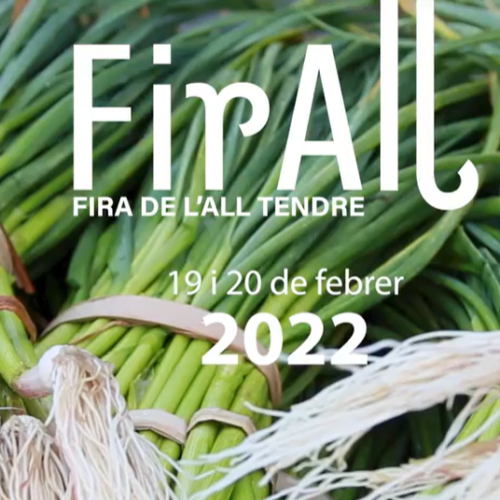 Captura de pantalla 2022-02-08 112227