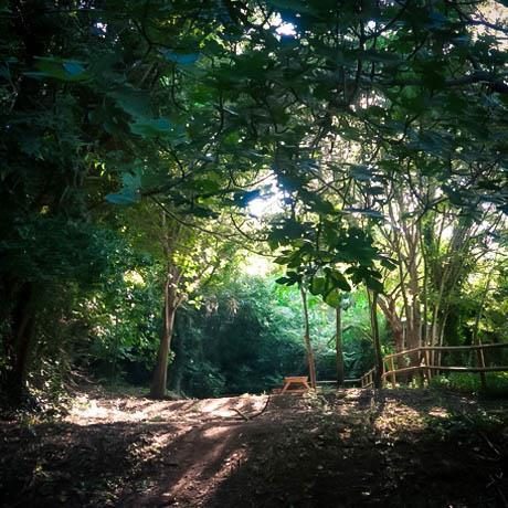 Cartell Cabrentá d'estubeny