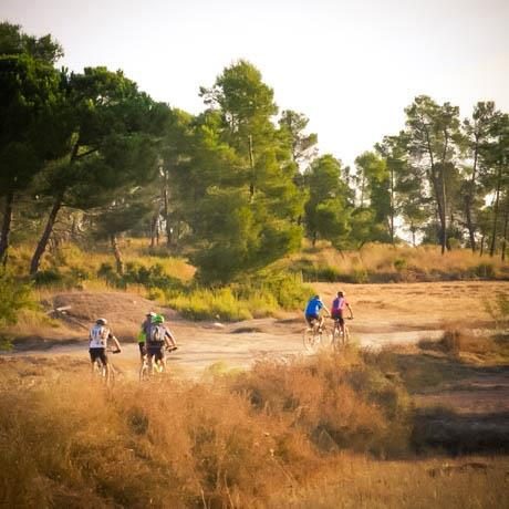 Cartell el camí de l'alba